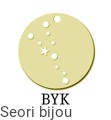 byk_pz.jpg