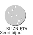 bliźnięta_sr.jpg