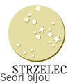 strzelec_pz.jpg