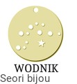 wodnik_pz.jpg