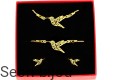 Komplet kolibry
